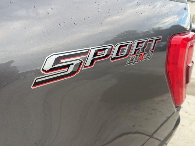 Photo of 2021 Lead Foot [gray] Ford F-150