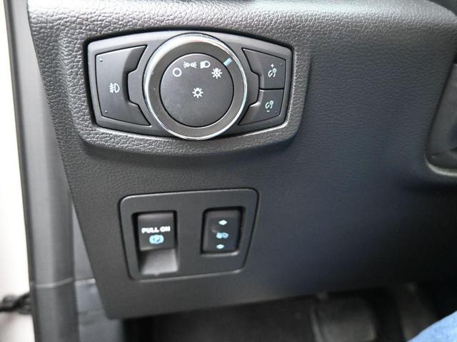 Photo of 2021 White Ford Expedition