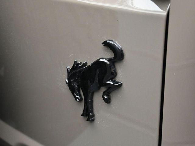 Photo of 2025 Gray Ford Bronco