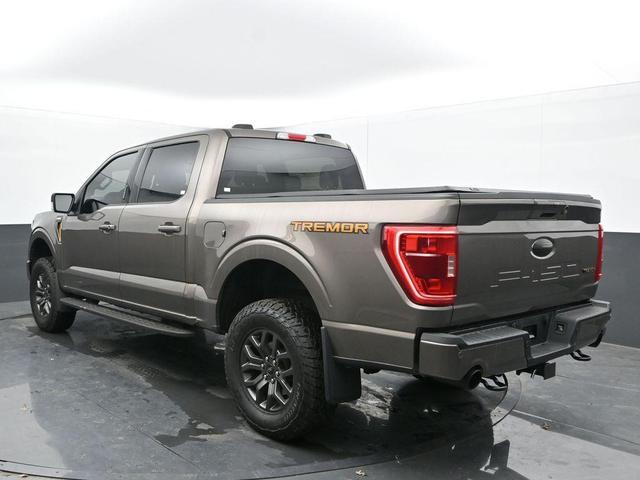 Photo of 2022 Tan Ford F-150