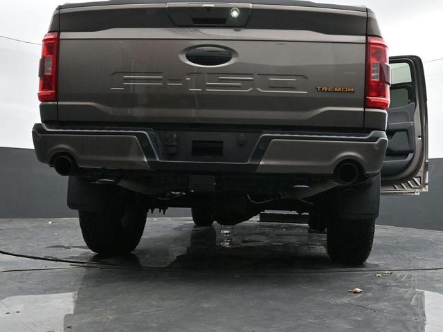 Photo of 2022 Tan Ford F-150