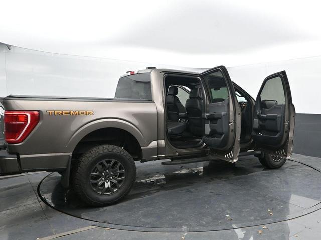Photo of 2022 Tan Ford F-150
