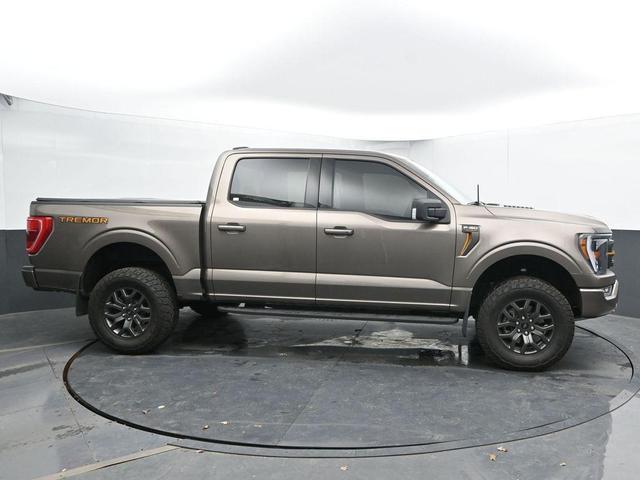 Photo of 2022 Tan Ford F-150