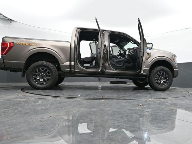Photo of 2022 Tan Ford F-150