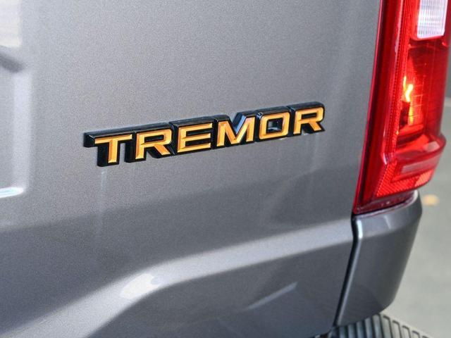 Photo of 2022 Tan Ford F-150