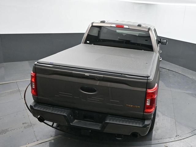 Photo of 2022 Tan Ford F-150