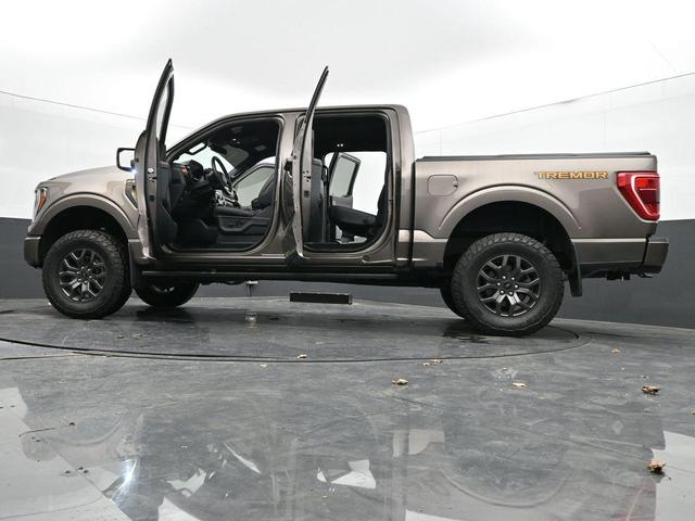 Photo of 2022 Tan Ford F-150