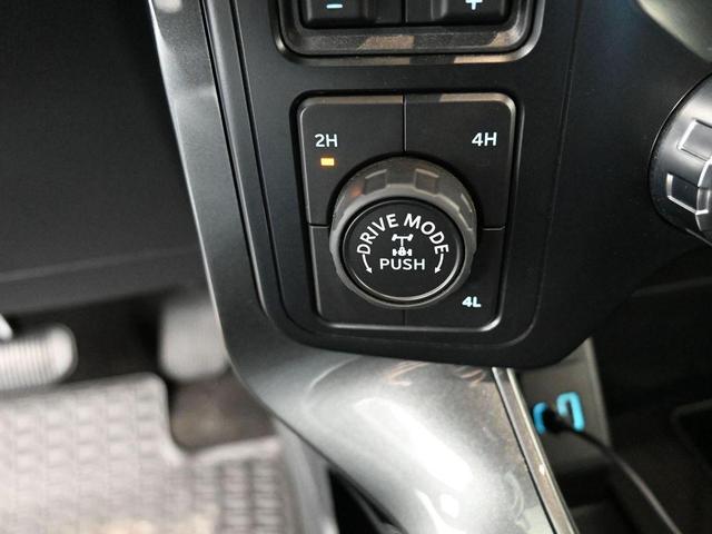Photo of 2022 Tan Ford F-150