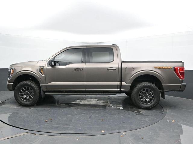 Photo of 2022 Tan Ford F-150