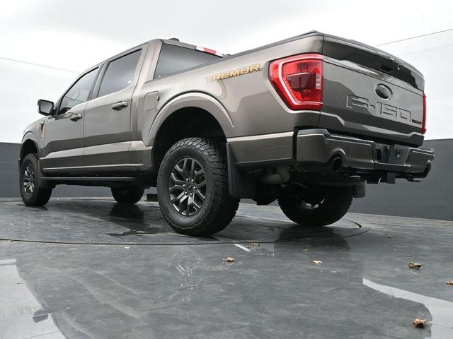 Photo of 2022 Tan Ford F-150