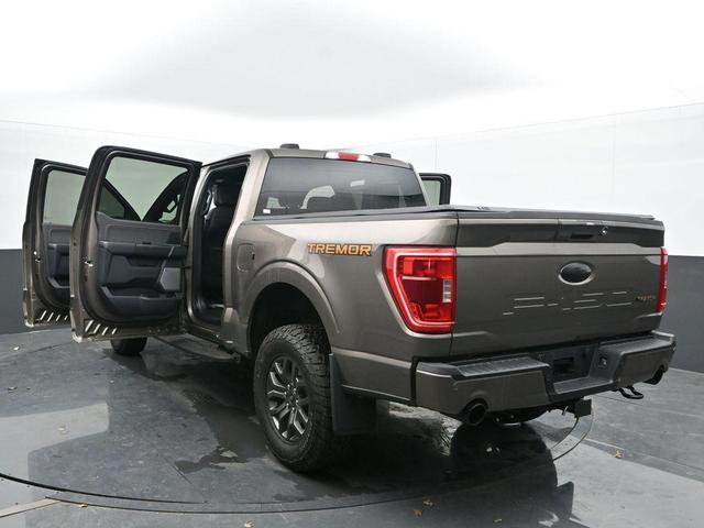 Photo of 2022 Tan Ford F-150