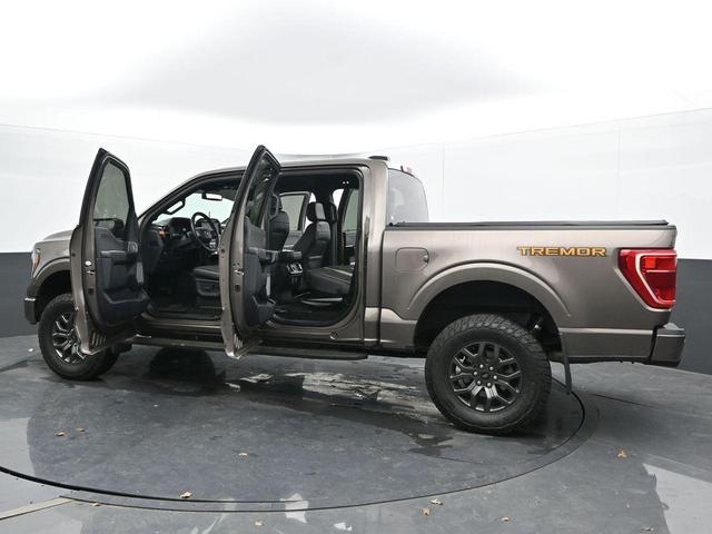 Photo of 2022 Tan Ford F-150