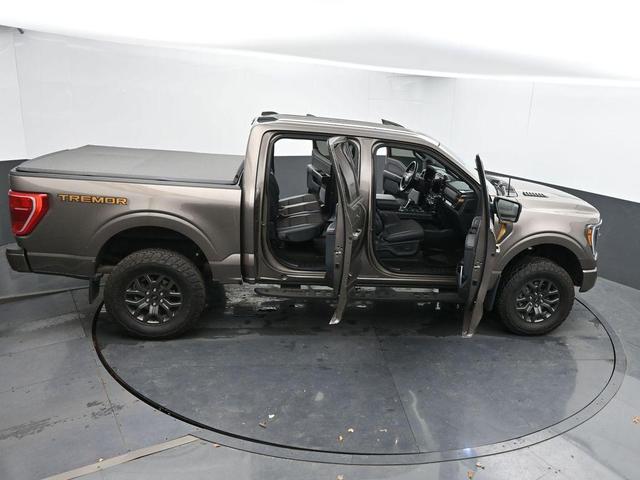 Photo of 2022 Tan Ford F-150