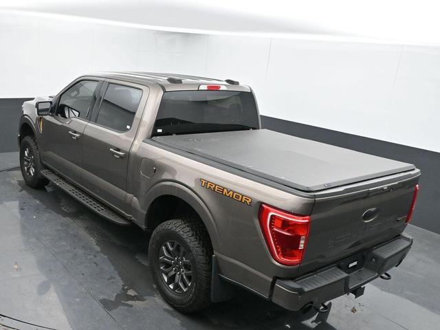 Photo of 2022 Tan Ford F-150