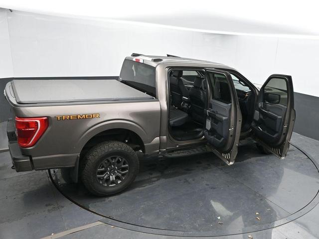 Photo of 2022 Tan Ford F-150