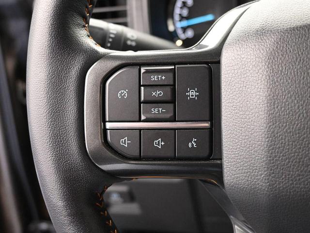 Photo of 2022 Tan Ford F-150