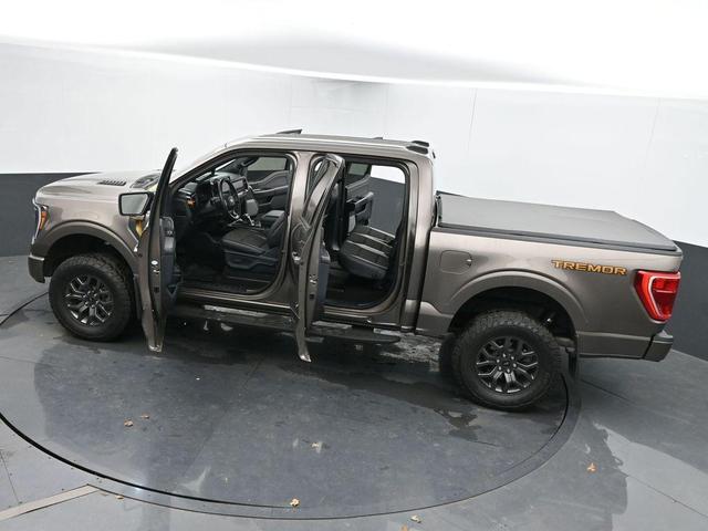 Photo of 2022 Tan Ford F-150