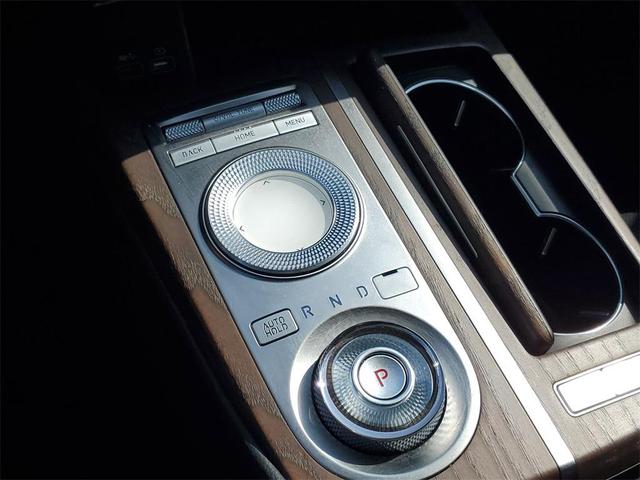 Photo of 2021 Vik Black Genesis G80