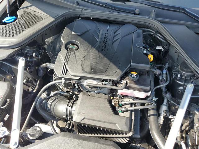 Photo of 2021 Vik Black Genesis G80