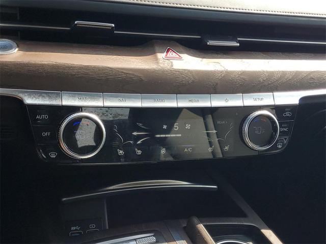 Photo of 2021 Vik Black Genesis G80