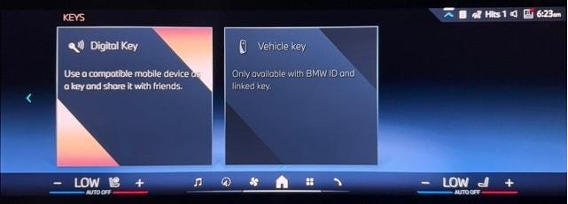 Photo of 2024 Skyscraper Gray Metallic BMW X5