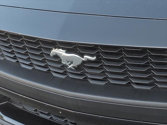 Photo of 2024 Shadow Black Ford Mustang