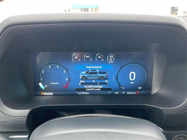Photo of 2024  Ford F-150