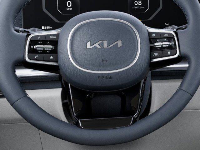 Photo of 2026 Panthera Metal Kia Carnival