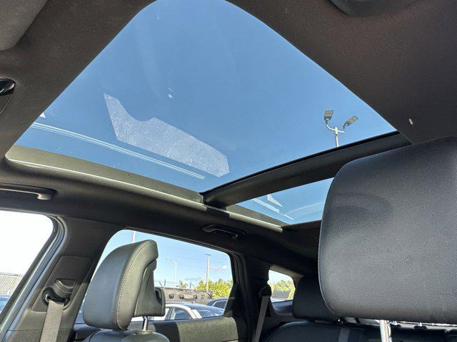 Photo of 2024 Jungle Green Kia Sportage