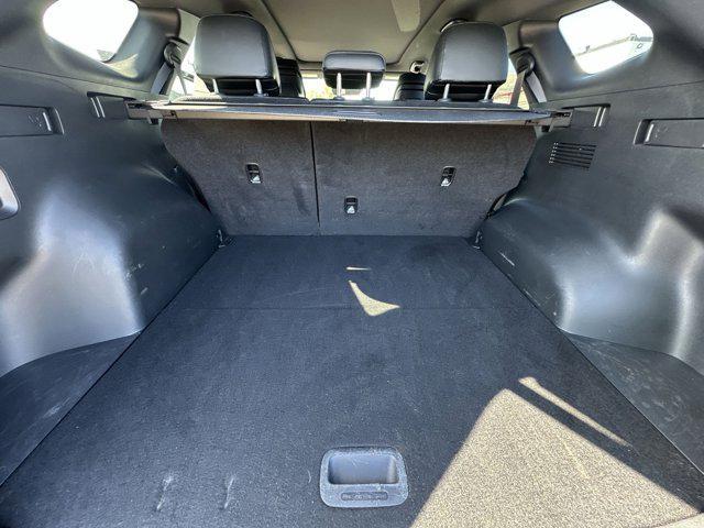 Photo of 2024 Jungle Green Kia Sportage
