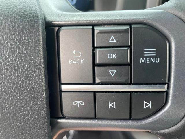 Photo of 2025 Blue Ford F-150
