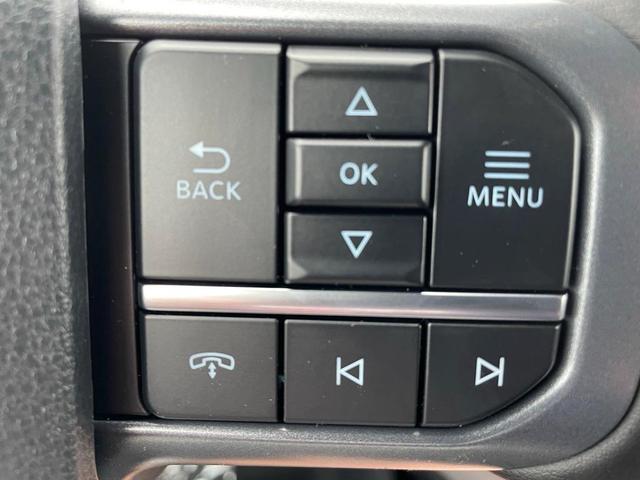 Photo of 2025 Space Gray Ford F-150