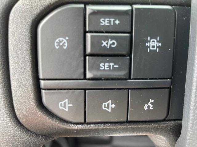 Photo of 2025 Blue Ford F-150