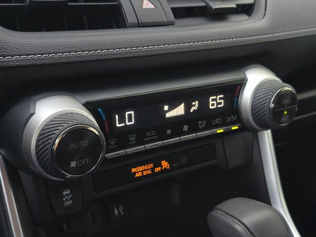 Photo of 2019 Ruby Flare Pearl Toyota RAV4 Hybrid