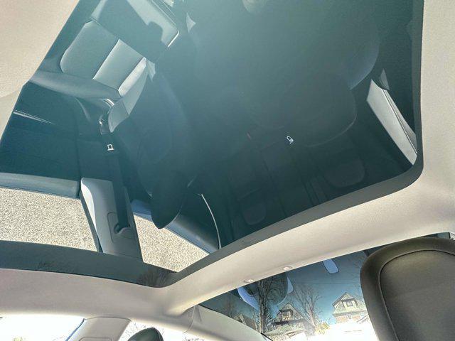 Photo of 2021 BLUE Tesla Model 3