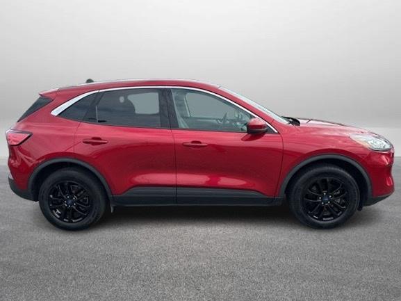 Photo of 2020 Rapid Red Metallic Tinted Clearcoat Ford Escape