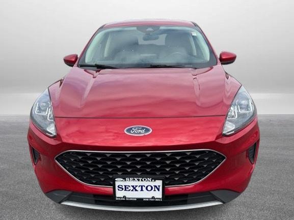 Photo of 2020 Rapid Red Metallic Tinted Clearcoat Ford Escape
