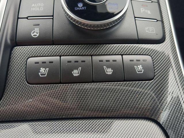 Photo of 2023 Stormy Sea Hyundai SANTA FE