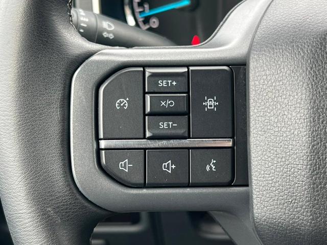 Photo of 2023 Avalanche Gray Ford F-150