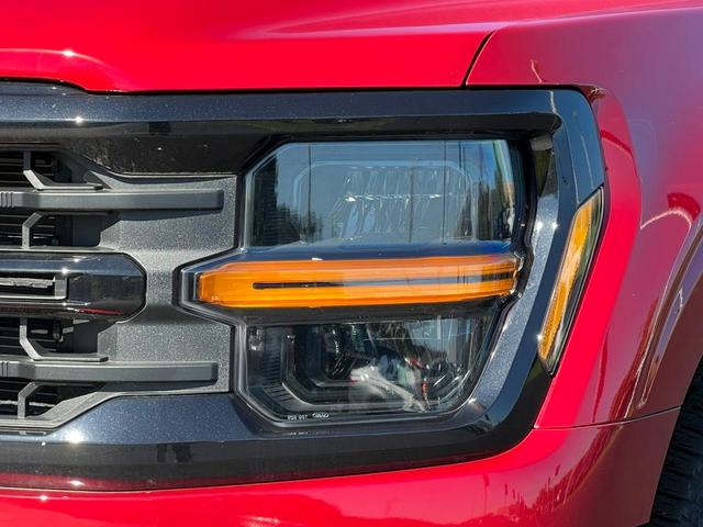 Photo of 2024 Rapid Red Metallic Tinted Clearcoat Ford F-150