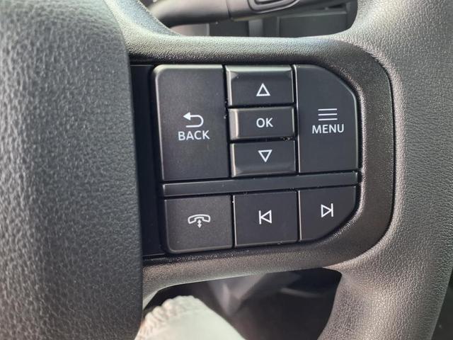 Photo of 2025 White Ford F-250