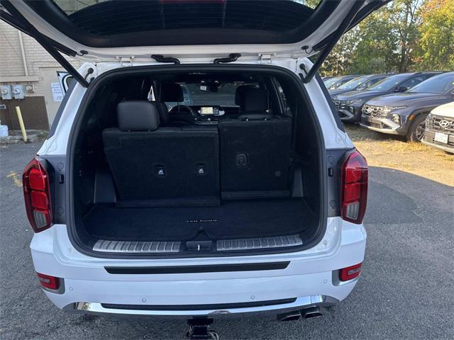 Photo of 2020 Hyper White Hyundai PALISADE