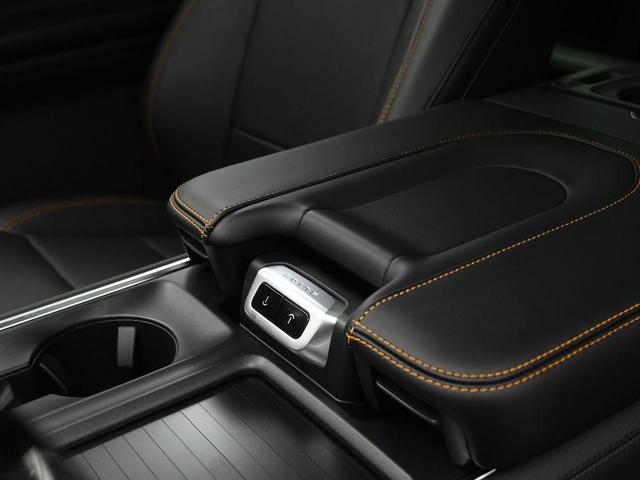 Photo of 2025 Wild Green Ford Expedition