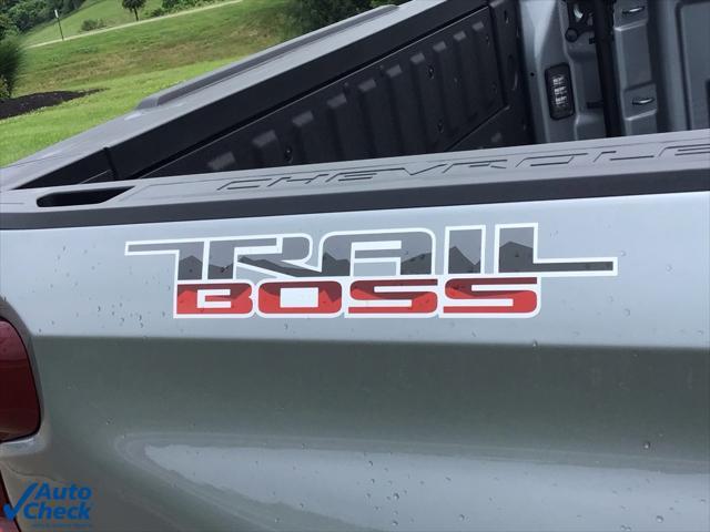 Photo of 2025 Sterling Gray Metallic Chevrolet Silverado 1500
