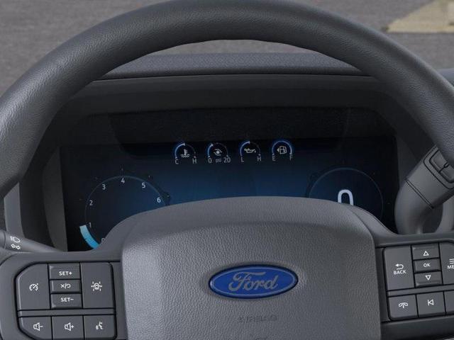 Photo of 2025 Black Metallic Ford F-150