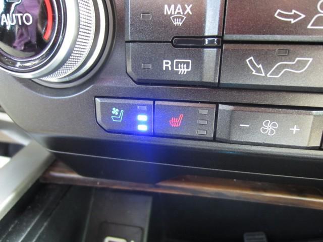 Photo of 2019 Blue Jeans Metallic Ford F-150