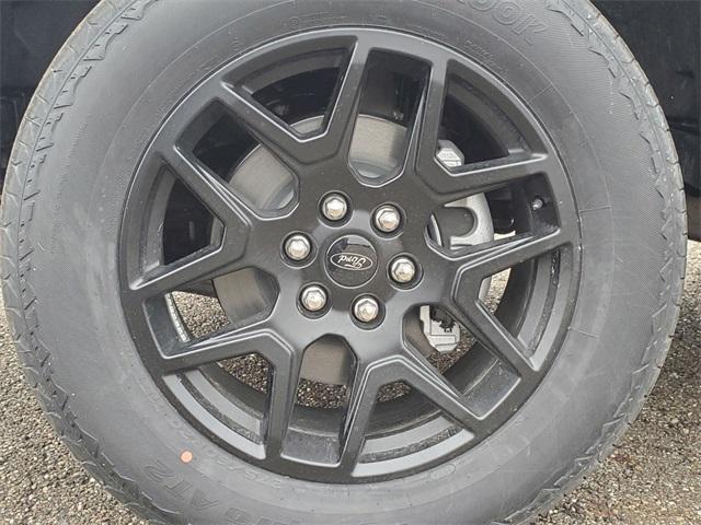 Photo of 2025 Black Metallic Ford F-150