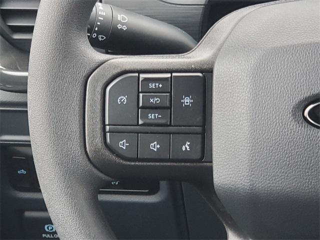 Photo of 2025 Black Metallic Ford F-150