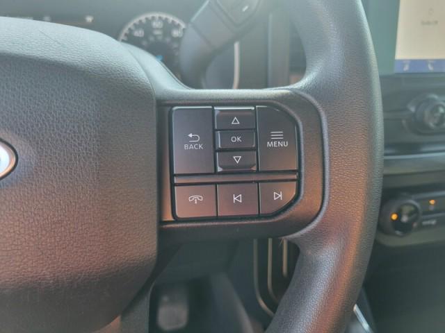 Photo of 2021 WHITE Ford F-150