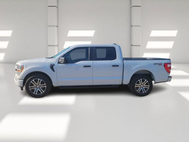 Photo of 2021 WHITE Ford F-150